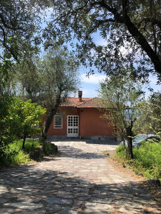 Appartamento Casa Alma Castelnuovo Magra Esterno foto