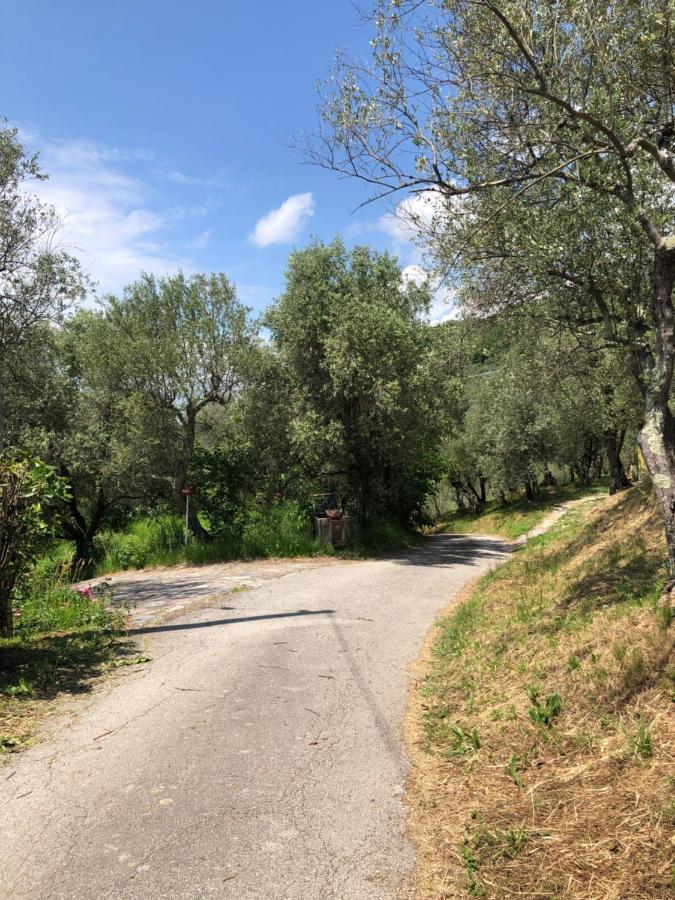 Appartamento Casa Alma Castelnuovo Magra Esterno foto