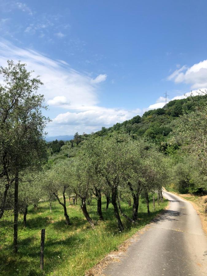 Appartamento Casa Alma Castelnuovo Magra Esterno foto